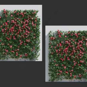 藤蔓植物3D模型下载